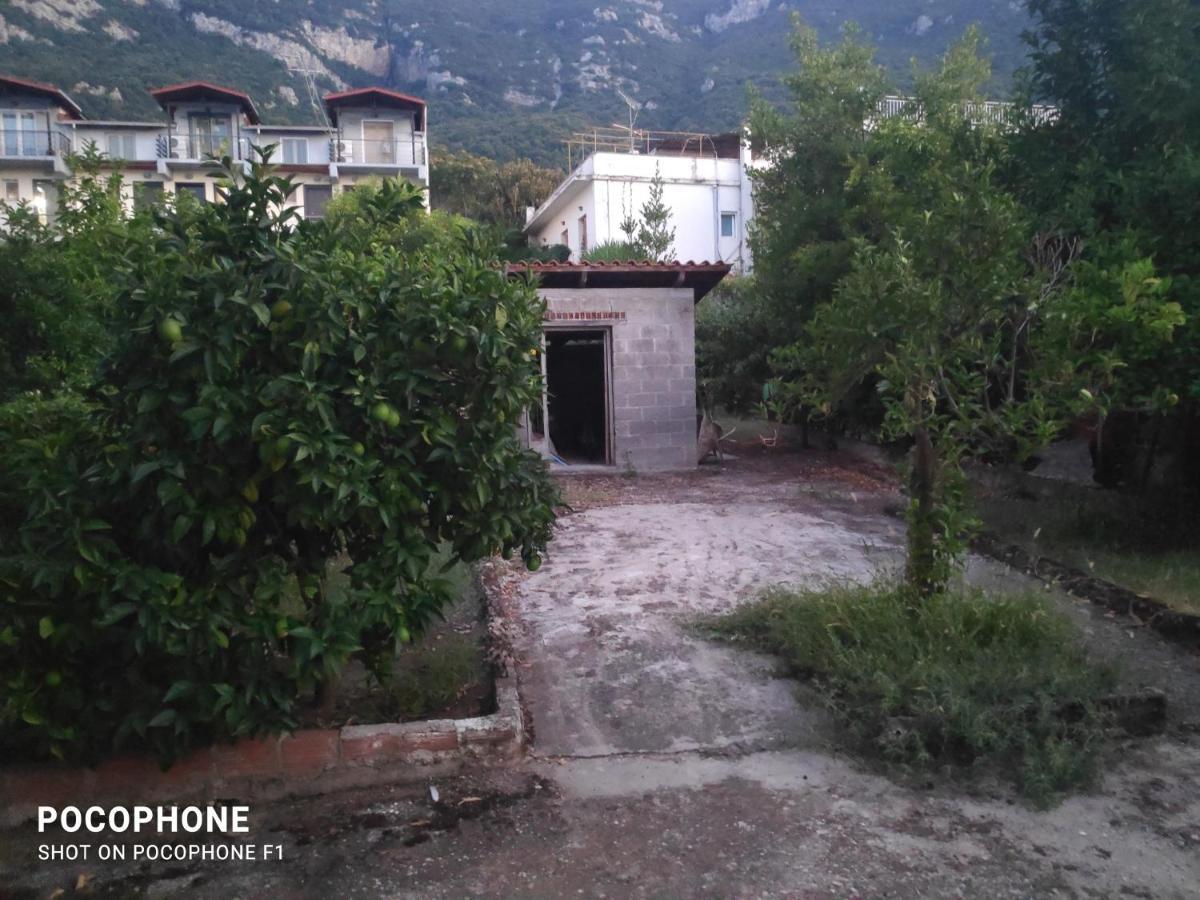 Κεντρικό, Άνετο Και Ζεστό Διαμέρισμα Kamena Vourla Exteriör bild